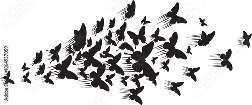 Flying Butterfly Silhouette Swarm – Freedom, Transformation and Nature Concept Illustration.