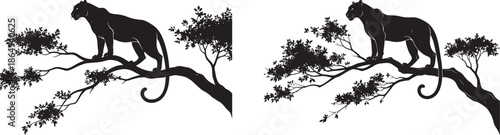 Black silhouette of a panther or leopard standing alert on a tree branch, wild predator cat in a natural jungle environment.