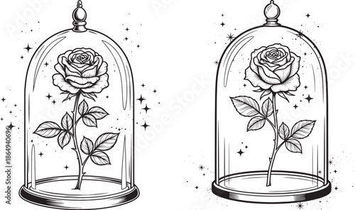 Line art of a single long-stemmed rose inside a glass dome cloche with sparkles, romantic floral illustration for coloring and fairy tale themes.