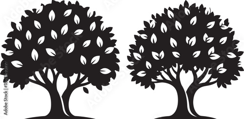 Set of two black silhouettes of leafy deciduous trees, isolated on white background, natural organic element for landscape design and environment.