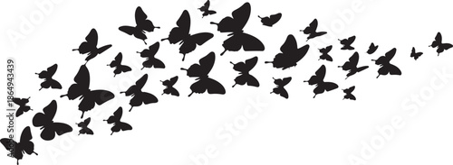 Flying Butterflies Silhouette Vector, Abstract Butterfly Swarm on White Background.