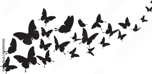 Flying Butterflies Silhouette Vector, Abstract Butterfly Swarm on White Background.