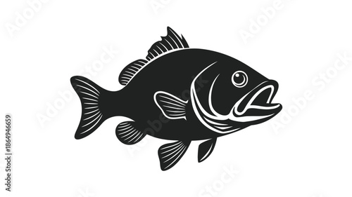Black and white bass fish illustration isolated on white background, Vector, illustration