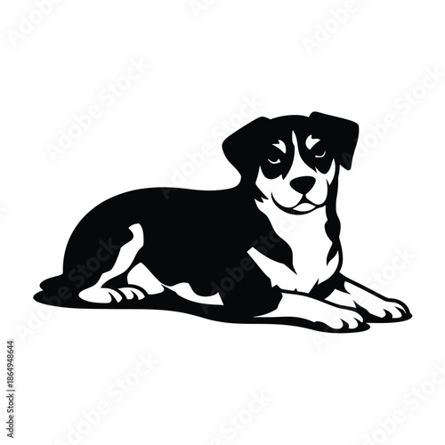 Black and white puppy lying down isolated on white background, Vector, illustration