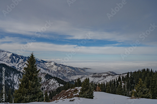 winter landscape in the mountains