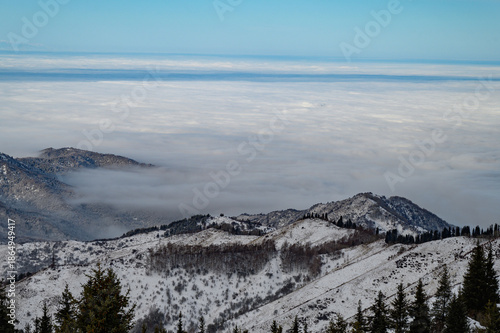 snow covered mountains