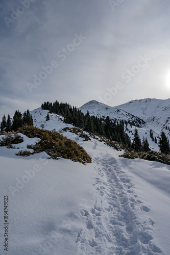 snow covered mountains