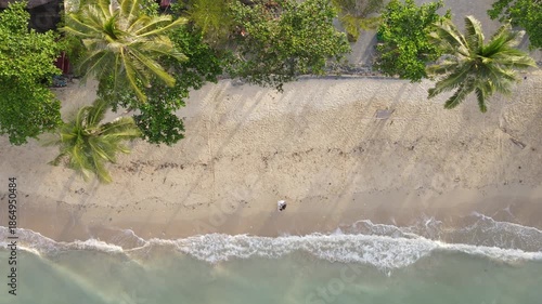 Top down drone view of tropical beach with palm trees and waves shores