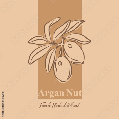 Argan Labels with Hand-Drawn Style, Packaging Design with Fruit Icons and Text, Minimal and Colorful label design, label sticker for packaging, editable print-ready vector template file illustration 