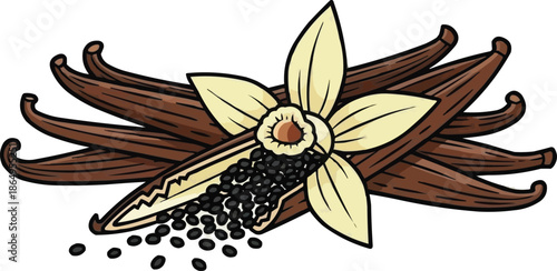 Split vanilla pods with scattered seeds, natural flavor spice, close-up vanilla bean vector, botanical cooking ingredient illustration