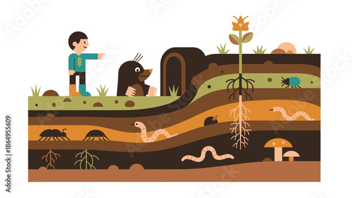 Soil Ecosystem With Child Mole And Underground Wildlife Illustration