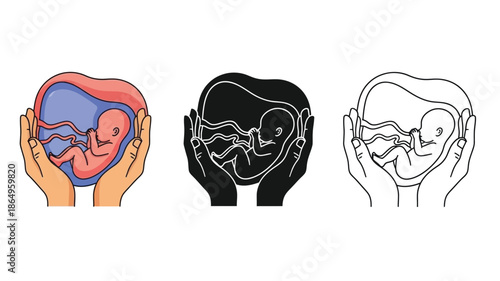 Protecting new life Illustration of a fetus held in caring hands three variations