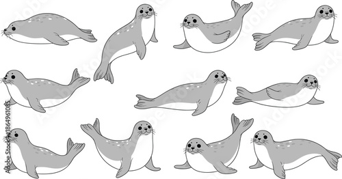 Spotted seal character collection featuring flat vector designs of grey seals in various poses including swimming resting and looking up for nature.