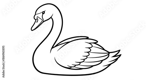 Simple Line Art Swan Illustration
