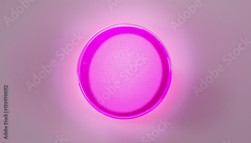 Bright Pink Circular Object on a Light Background With a Smooth Surface in Cl...