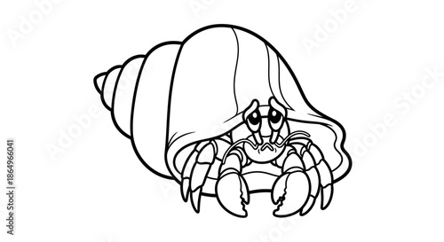 Page coloring hermit crab illustration Page