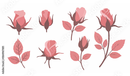 Romantic pink rosebud decorative vector set with floral elements and leaves isolated on white background