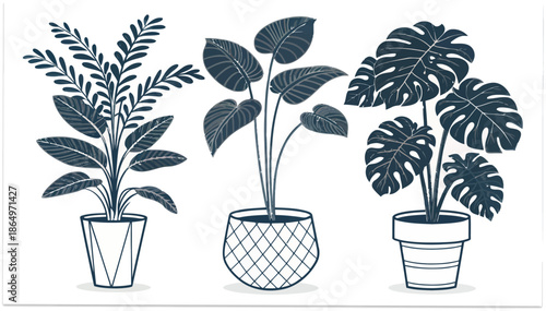Three stylish potted plants with large leaves in modern pots