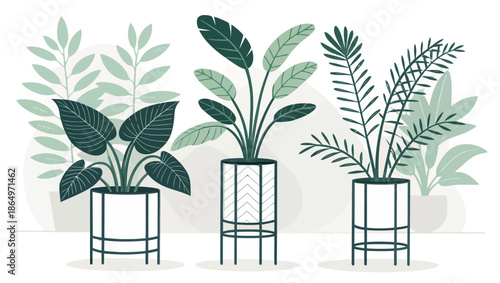 Modern indoor plants in stylish planters for home decor