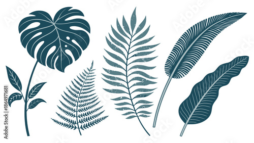 Tropical leaf illustrations for design and decoration