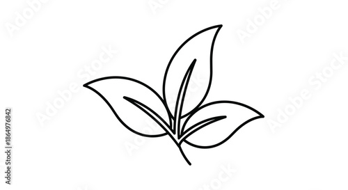 Minimalist black line art illustration of three leaves joined at the stem representing nature growth and organic concepts on a white background.