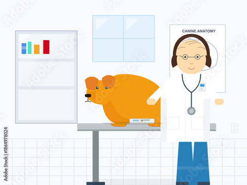 Veterinary clinic scene with a doctor and a dog during a check-up at a clear and bright setting