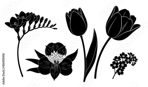 Black flower silhouettes vector set with freesia tulips alstroemeria and forget-me-not isolated on white