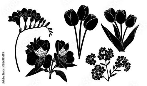 Decorative black botanical flower silhouette vector collection with freesia tulips and wildflowers