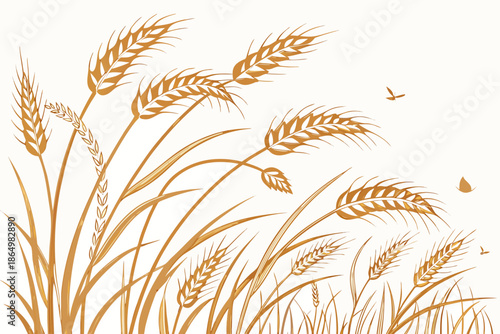 wheat ears vector illustration