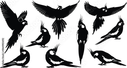 Cockatiel Silhouette Vector Set with Flying Perching and Standing Poses Isolated on White Background