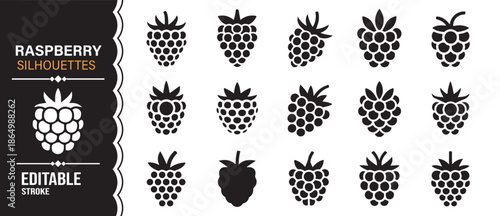 Organic raspberry fruit icons in silhouette isolated vector illustration