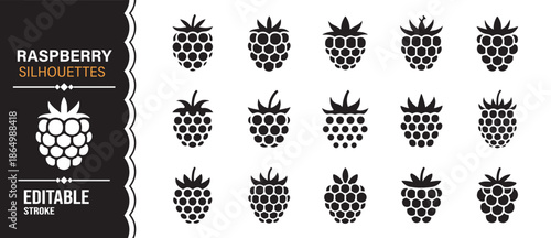 Berry fruit silhouettes featuring raspberries in editable vector style