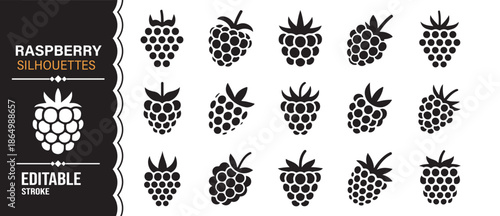 Raspberry fruit silhouette icons set with berry and leaf designs
