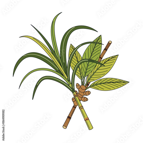 Vibrant palm tree with lush green leaves and sturdy trunk