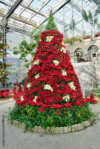 綺麗な装飾のクリスマスツリー