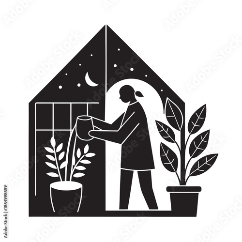 Evening Winter Indoor Plant Care