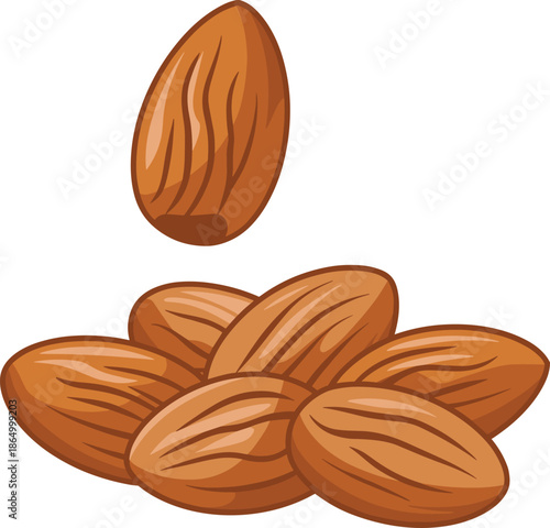Four Brown Almonds with Textured Shells on a White Background nuts