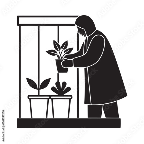 Winter Balcony Greenery Maintenance Lifestyle