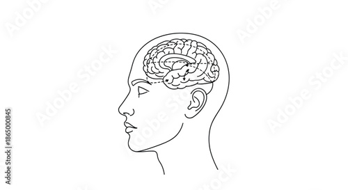 Scientific line art illustration of the human brain's limbic system within a head profile, showing neural pathways for emotion.