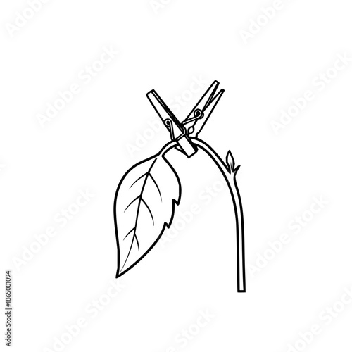 Black Clothespin Clamping Green Leaf on Stem Isolated on White Background with line art and illustration and clipping path in minimalistic simple for drawing