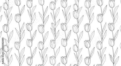 Seamless monochrome floral pattern of hand-drawn tulip flowers in a vertical arrangement on a white background, perfect for spring.