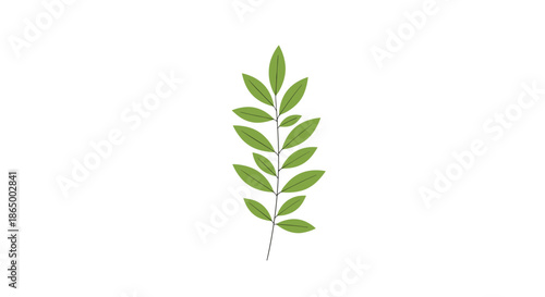Simple illustration of a single green branch with leaves in a minimalist botanical style, isolated on a white background for decor.