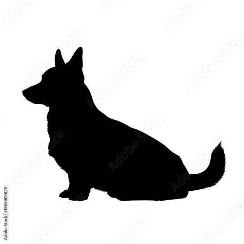 Silhouette of a Corgi Dog Sitting Calmly.