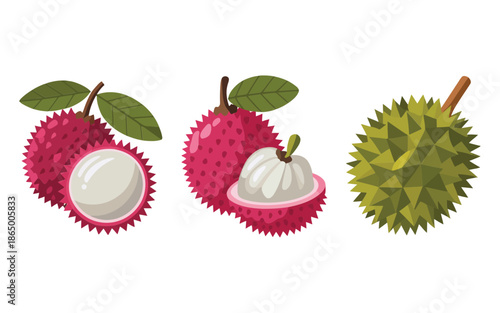 Asian fruit icons collection, lychee with peeled segments, durian whole and cut, street food festival graphic, tropical harvest celebration vector