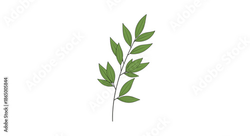 Simple illustration of a single plant branch with green leaves in a minimalist, hand-drawn botanical style on a white background.
