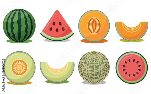 Mixed melon varieties collection, watermelon cantaloupe honeydew galia full and halved icons, supermarket signage, farmers market advertisement design vector