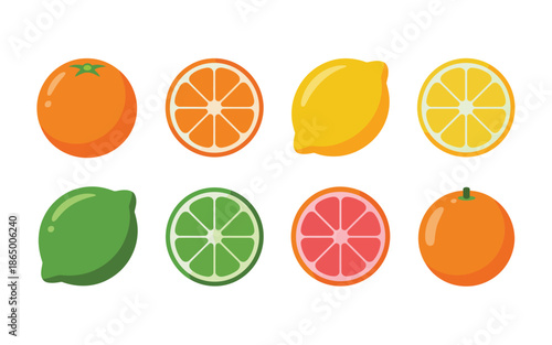 Citrus assortment illustration, orange rounds, lemon, lime, grapefruit slice, farmers market poster, summer festival graphics, fresh kitchen decor vector