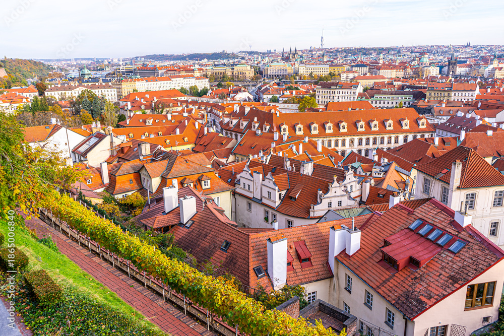 Obraz premium Praha tile roofs architecture in Prague Czech Republic Old street house building top view cityscape