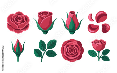 Detailed rose anatomy vector collection with petals, buds, leaves, blooming flowers, botanical clipart for valentines card, bridal shower invitation design