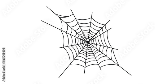 Animated black line drawing of a delicate and intricate spider web spinning into view from a corner on a white background.